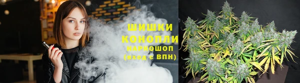 СК Вязники