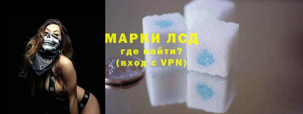 СК Вязники