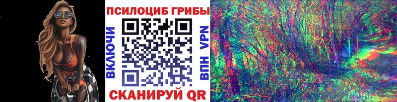 наркота  Игарка  Псилоцибиновые грибы мицелий 